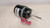 Packard 82991  Diameter Motor 115/230 Volts 3000 RPM HP 1/15 Shaded Pole For Sale