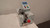 True Soltec PT100  Auto Pull Tester For Sale