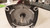CENTURY SQ1102 GEAR MOTOR 115/230V 1 PH 1.25 HP T169858