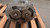STERLING ELECTRIC INC SP8465-03 060 U 04/04/13 3 PHASE GEAR MOTOR 5.0 HP 50HZ T172930