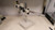 NIKON 5MZ-1 STEREO MICROSCOPE W / STAND T176034