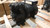 COPELAND KAT1-0100-TAD COMPRESSOR