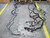 ACW3617960  Wire Harness Assembly  For Sale