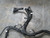 ACX2406410 WIRE HARNESS HESSTON T176411