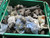 LOT OF 1675LBS AUTOMOTIVE HARDWARE SPRINGS BOLTS BRAKE PARTS SUSPENSION PARTS T176502