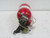 DUAL SPECTRUM 474000-505 FIRE EXTINGUISHER T177115