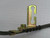 CARQUEST 150-63036 SP8791 BRAKE HOSE T177209