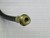 CARQUEST 150-62037 SP6209 BRAKE HOSE T177338