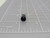LOT OF 80 STANDARD STP133 TERMINALS PLASTIC SOLDERLESS T177427
