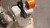 JAM LPC 220-TYJ01 BENCHTOP CRIMPING MACHINE 19.6 KN 30 MM STROKE M0102