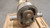WAUKESHA R1 ROTARY PUMP STAINLESS STEEL M0117