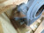 RENK CORPORATION EMZLB 8639A23H01 TYPE EM SIZE 22-22.5 DIAMETER SLIDE BEARING 6000 HP T182176