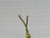 LOT OF 12 VULCAN H04 TB3049B 250W 240V 3TB1 HEATING ELEMENTS T183866