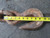 HEAVY DUTY INDUSTRIAL LIFTING CHAIN 236 IN 7/8 22 MM ALLOY T184634