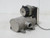 Princeton SC-3774 83150- B Rev V Valve  For Sale