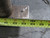 20X32X42 RECTANGLE TANK FOR INDUSTRIAL PART CLEANING T186173