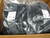 LOT OF 2000 HELLERMANNTYTON 157-00083 STANDOFF STUD MOUNT TIE 6.0 MM STUDS 6.0" LONG T188023