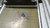 CONVEYOR TECHNOLOGIES BELT CONVEYOR 8 POSITIONS DIMS 38 L X 6 IN M2102