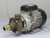 SPECK 41452 MOTOR W PUMP T191833