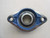 SKF FYT 1.5/8 TF BEARING T51897