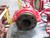 RED VALVE 4 FLOW PINCH VALVE T193799