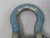 CAMPBELL WLL4-3/4T TON SHACKLE CLEVIS RIGGING CABLE LIFTING T194307