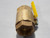 APOLLO 2-1/2 IN RP 600 WOG BALL VALVE T195824