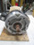 BALDOR VME3614T ELECTRIC MOTOR T54858