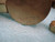 FISHER SCIENTIFIC 1-2578-1 REGULATOR T8134