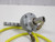 GAST 2AM-NCC- LUBRICATED AIR MOTOR ASSEMBLY T60550