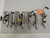 LOT OF 7 BIMBA MRS-021 5-DXP PNEUMATIC CYLINDER T60947
