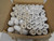 LOT OF 168 MOLEX 1302011439 1/2 IN. NPT RECEPTACLE SHELLS T60827