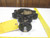 APOLLO 143 06CBN10 BUTTERFLY VALVES T66233