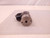 SCHRADER BELLOWS 74503-9000 CYCLE VALVE T70041
