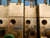 LOT OF 10 FESTO IIFG-02-1/8-10-BU IFB8-02 JMVH-5-1/8 B-VI-110512 MVH-5-1/8-B-VI11900 MVH-5-1/8-B-VI-01 110274 SOLENOID VALVES W/ MANIFOLD T71501