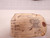 NISSEI D80NIR RING VALVE T75428
