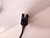 PANASONIC PANADAC 404 CABLE T76878