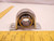 CJ SBPP206-19 BEARINGS T77021
