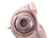 SEAL MASTER TB-10 PILLOW BLOCK BEARING T77259