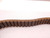 LOT OF 3 1922V302 SPEED BELT T77677