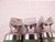 LOT OF 4 WELCH ALLYN STUBBY LARYNGOSCOPE HANDLE FOR FIBER OPTIC BLADE T78606