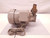 IWY WPT-441 MOTOR PUMP 410/510 W