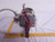 GE GENERAL ELECTRIC 5K182AL214D INDUCTION MOTOR 230/460 V 3 HP 1725 RPM T82392