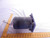 KITASHIBA SKD-ACKLK8 1 PHASE INDUCTION MOTOR 0.3 KW 100 100 110 V 1440 1730 1740 RPM 4 POLES 7.9 7.0 7.2 A T82383
