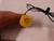CLIPPARD EV-3M- 3-WAY ELEC. VALVE T84548