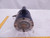 GRAYMILLS C6C17NC8F MOTOR 1/4 HP 1725 RPM 60 HZ 115 V 1 PH T84827