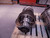 INTEGRATED SOLUTIONS/GCA 081147G1/069986G1 MOTOR ASSEMBLY