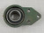 SAECO FB208 UC208-40J FLANGE BEARING T86706