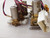 LOT OF 6 SMC VDW23-5G-1 SOLENOID VALVES T89113