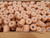 CASE OF 390 44-0049-9776-1 ACE TAN PRE WRAPS 2.75 IN X 20 YDS EACH